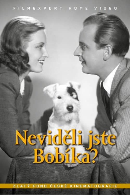 Wo ist Bobi?