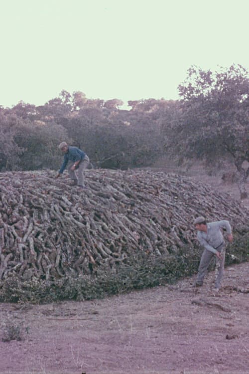 Encinares