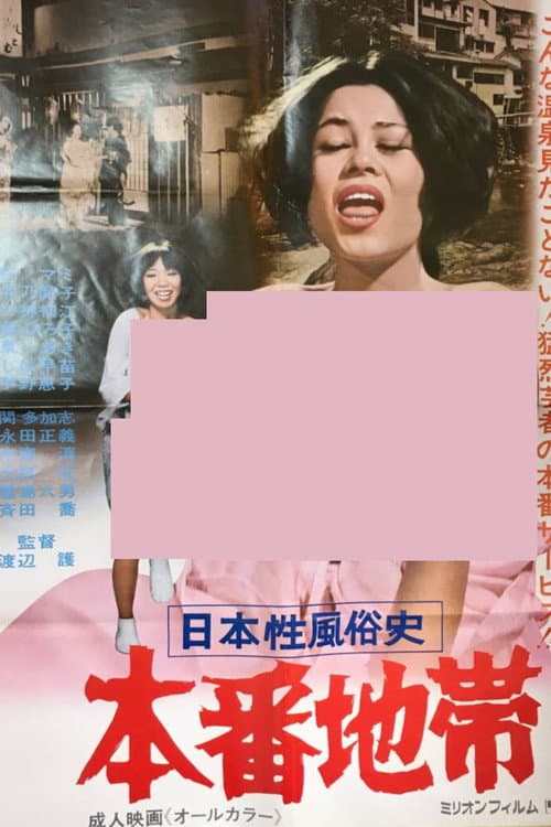 日本性風俗史 本番地帯