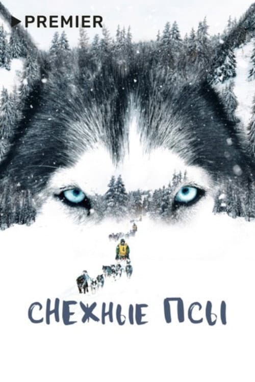 Снежные псы