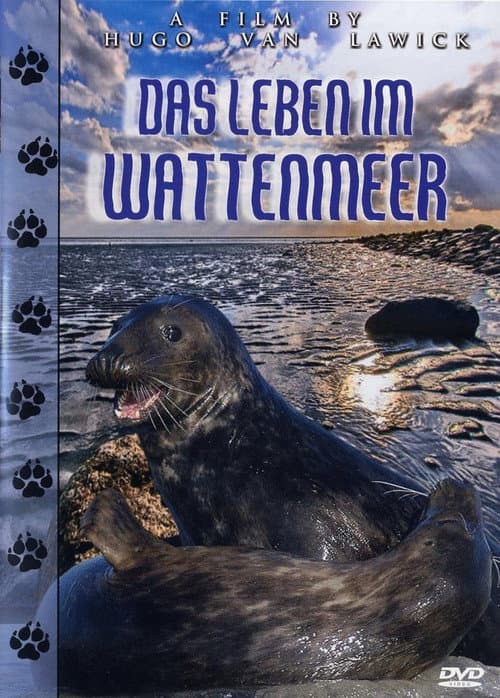Das Leben im Wattenmeer