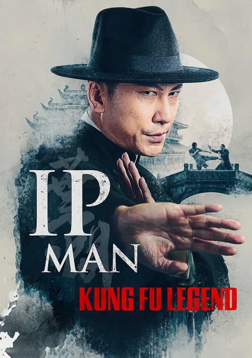 Ip Man Kung Fu Legend