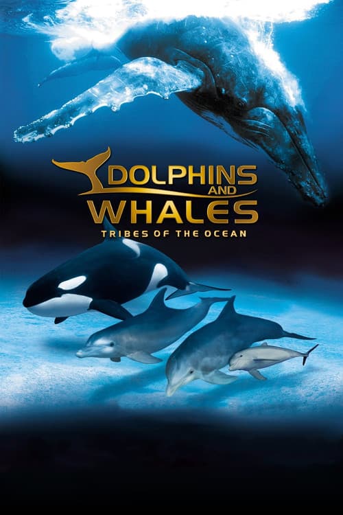 IMAX: Delfine und Wale