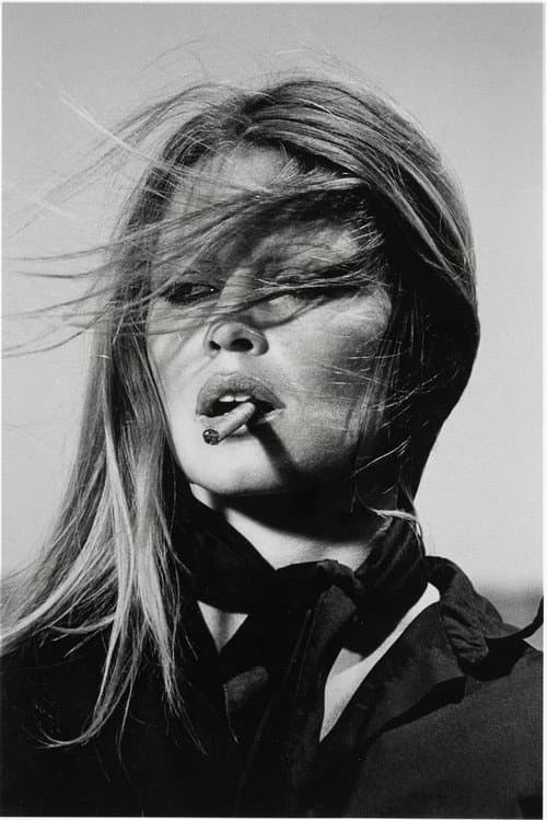 Brigitte Bardot, die Unbezähmbare