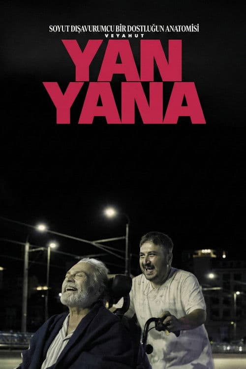 Soyut Dışavurumcu Bir Dostluğun Anatomisi Veyahut Yan Yana