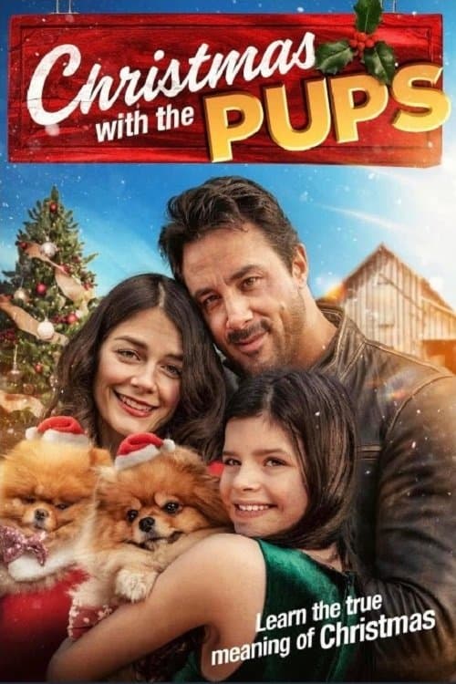 Welpen zu Weihnachten