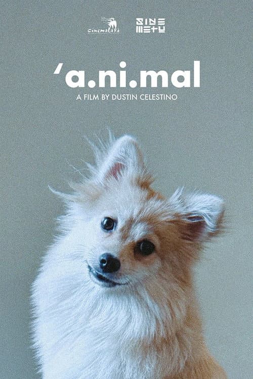 'a.ni.mal