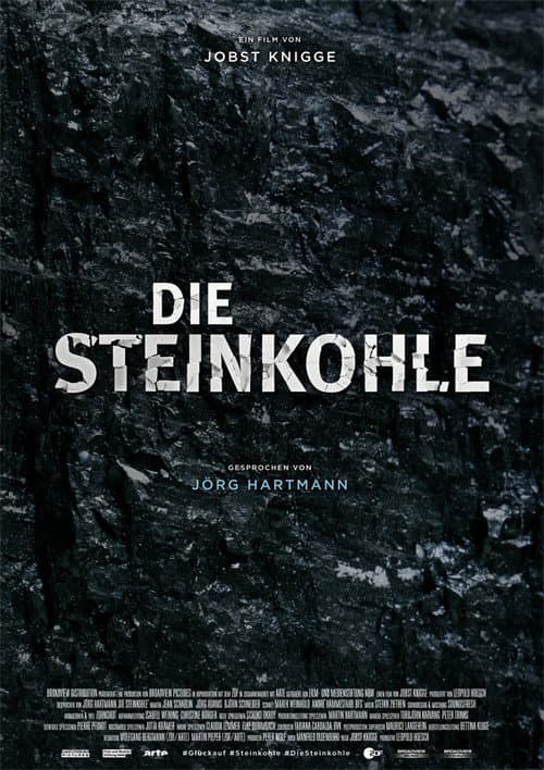 Die Steinkohle: II: Ende einer Ära