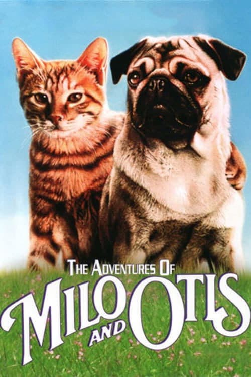 Miez und Mops - Zwei tierische Freunde