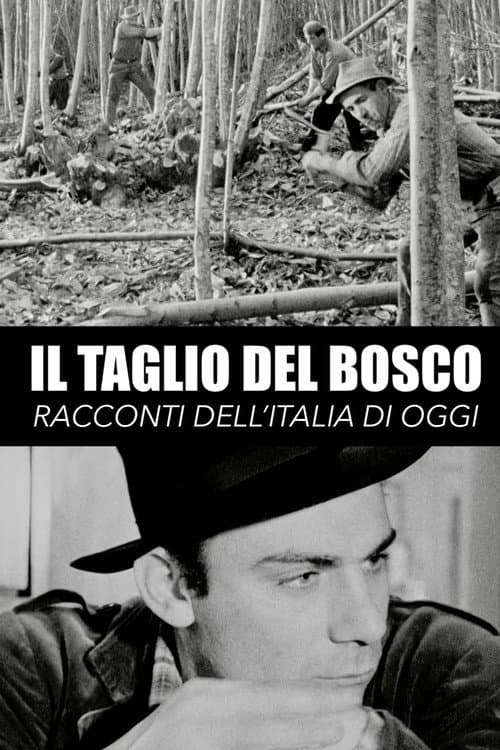 Il taglio del bosco