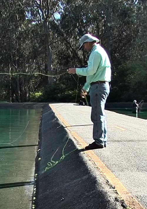 Fly Line