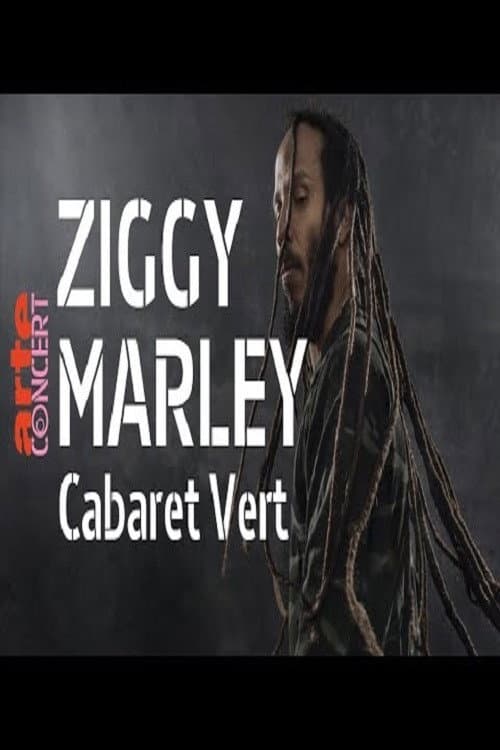 Ziggy Marley beim Festival Cabaret Vert