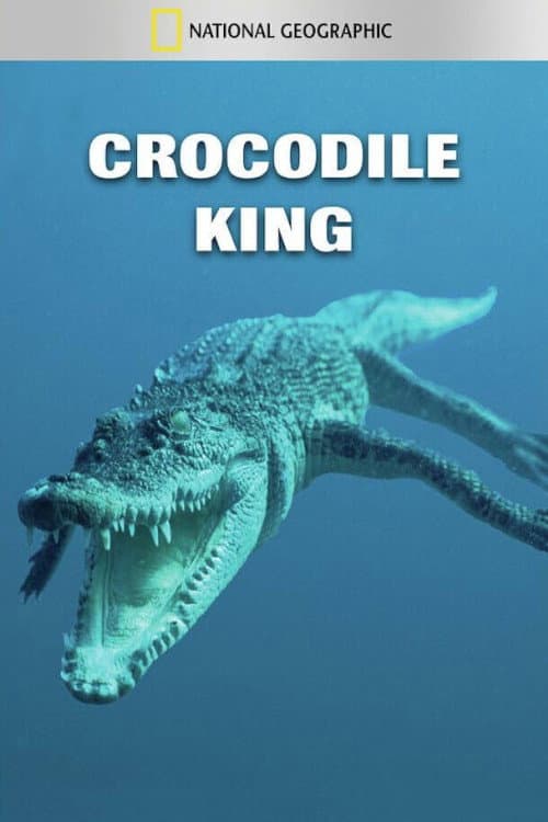 Australiens Riesen-Krokodile