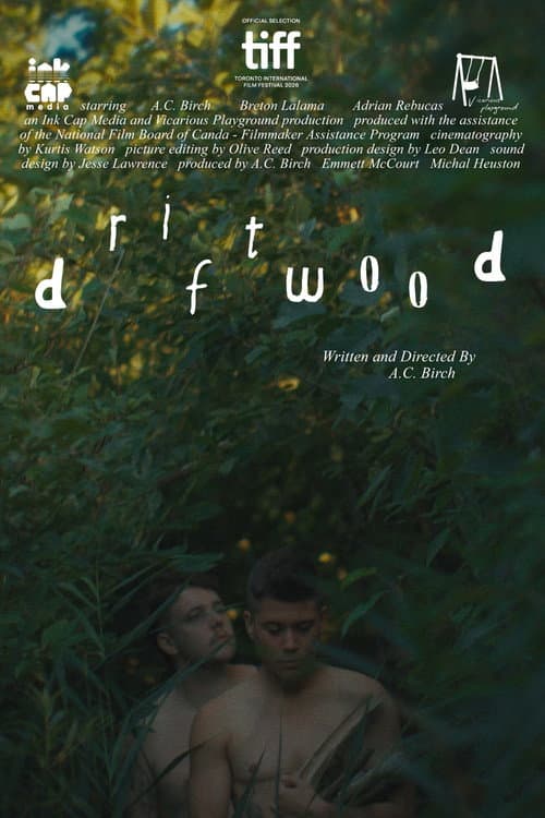 Driftwood