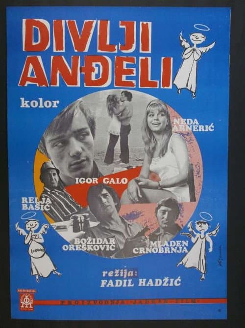 Divlji anđeli