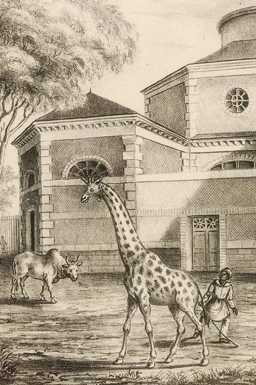La Nuit tombe sur la ménagerie