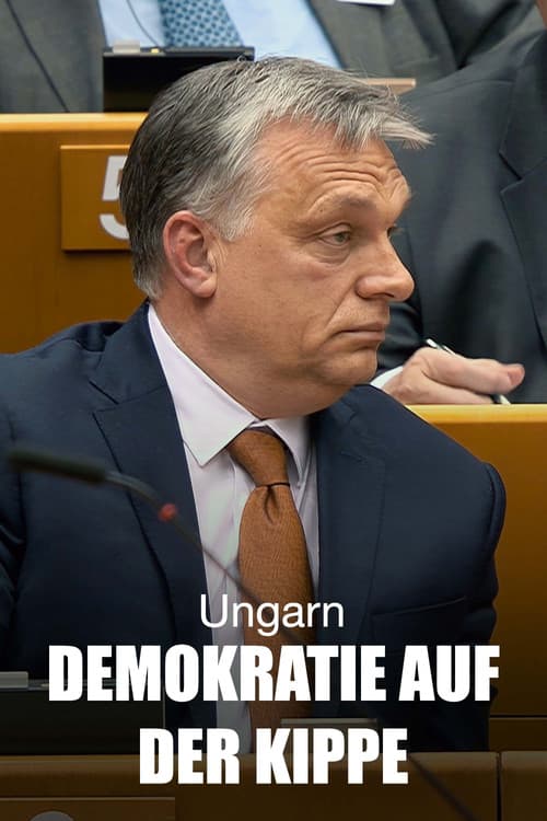 Democracy Noir