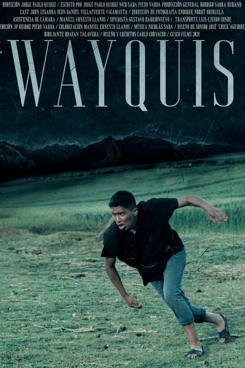 ​​​Wayquis