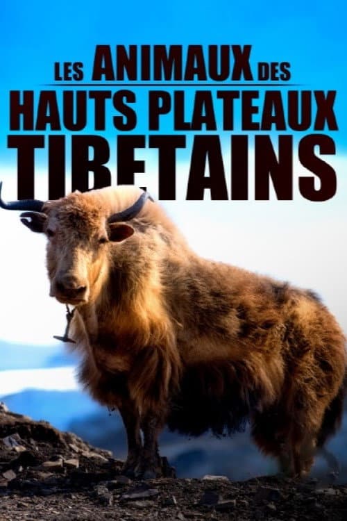 Ein Jahr in der Wildnis Tibets