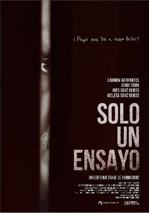 Solo un Ensayo