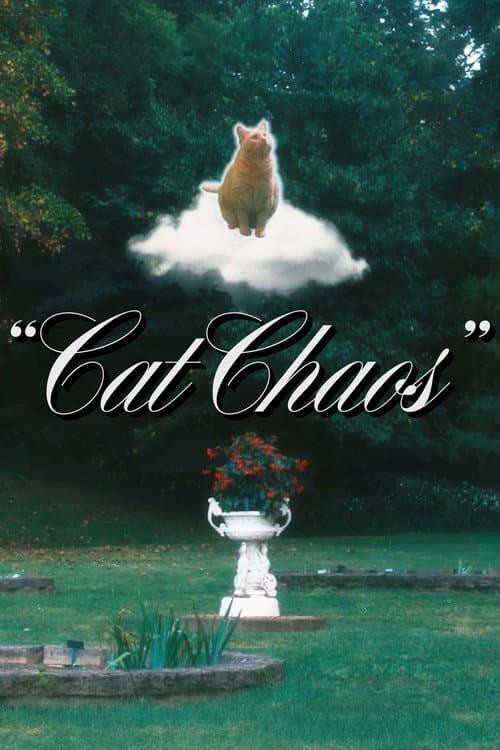 Cat Chaos