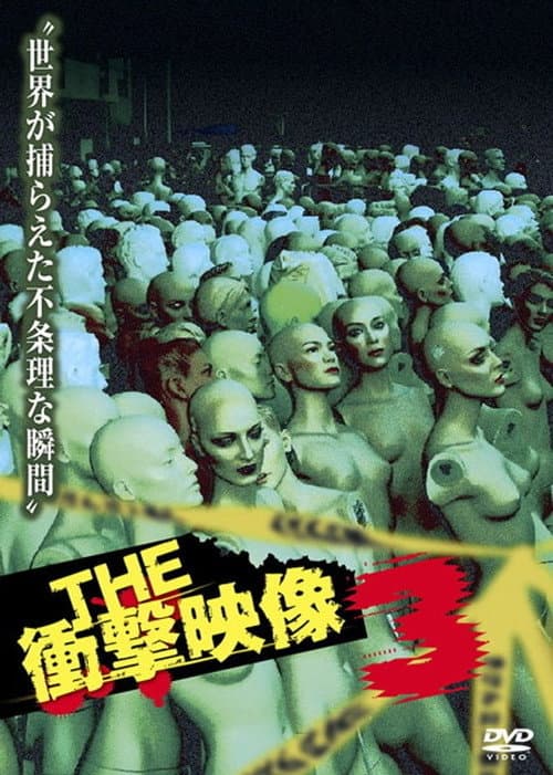 THE 衝撃映像 3