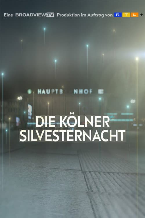 Die Kölner Silvesternacht - Folgen einer Nacht