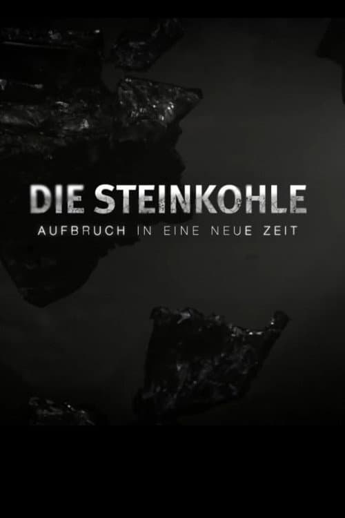 Die Steinkohle: Aufbruch in eine neue Zeit