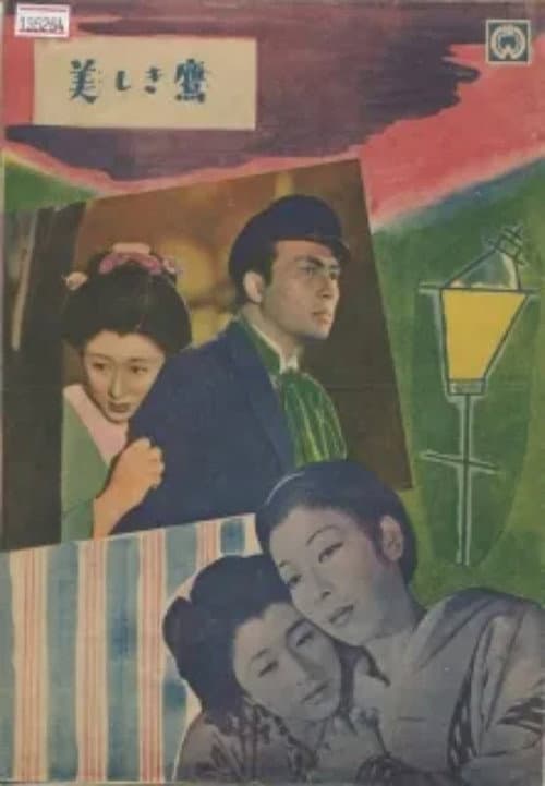 美しき鷹