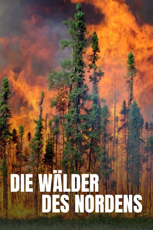 Die Wälder des Nordens