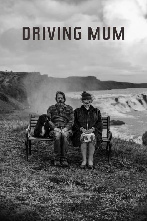 Driving Mom - Unterwegs mit Mama