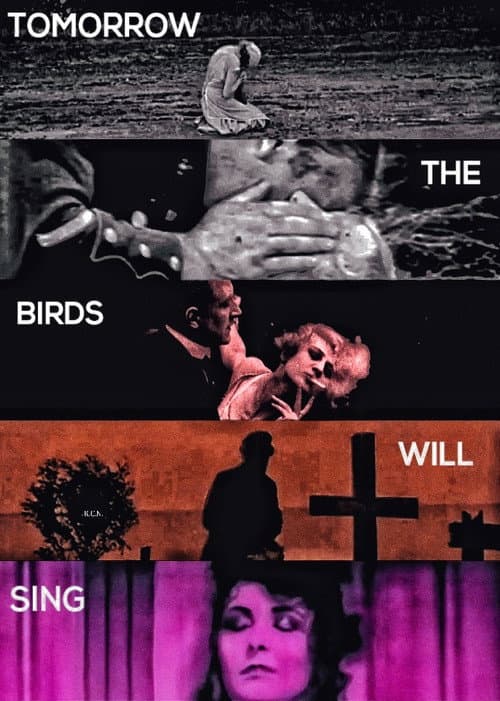 Tomorrow The Birds Will Sing