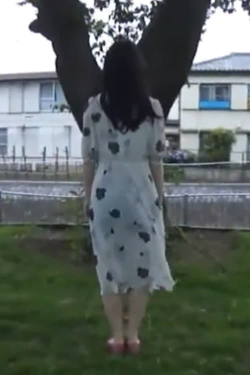 ダイジェスト