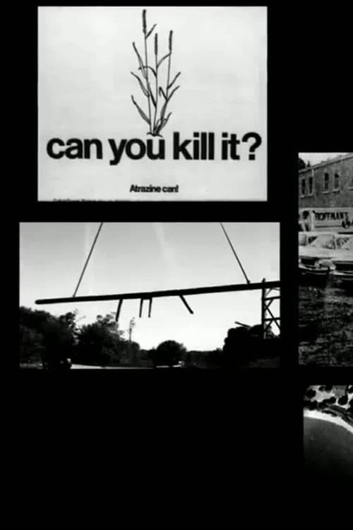 Slaughterhouse