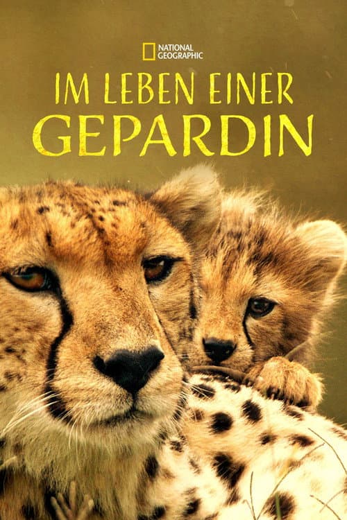 The Way of the Cheetah