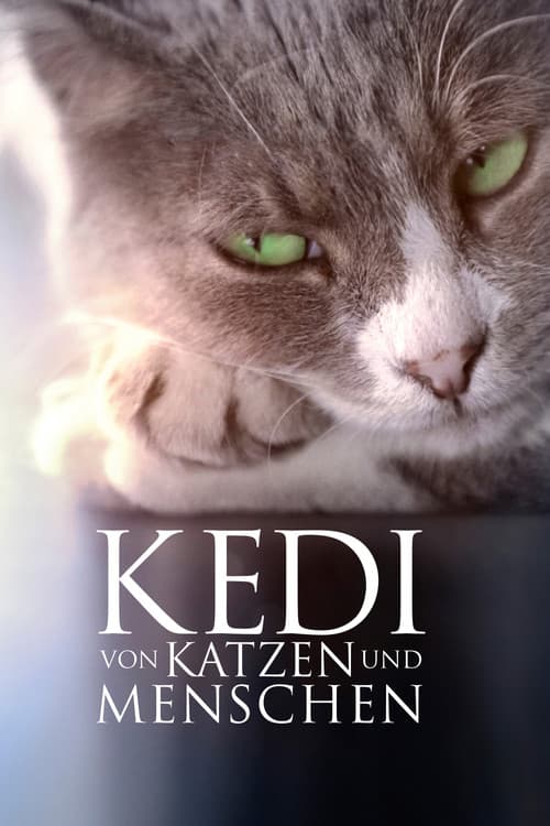 Kedi - Von Katzen und Menschen