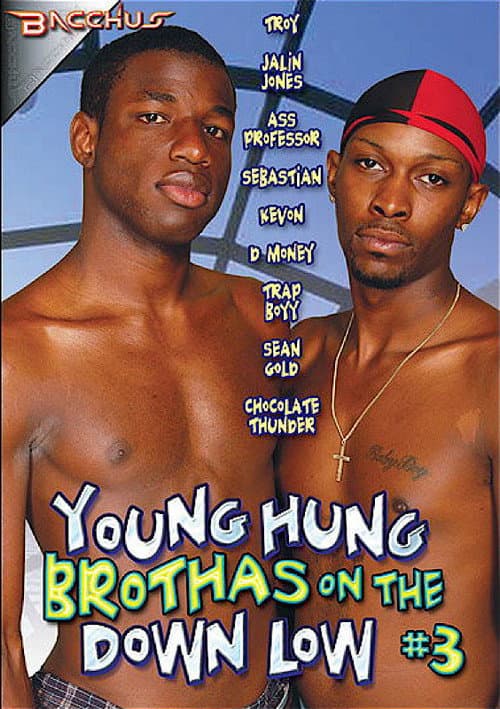 Young Hung Brothas on the Down Low 3