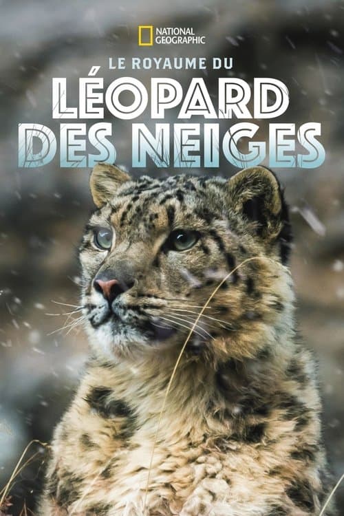Geisterkatzen - Im Tal der Schneeleoparden