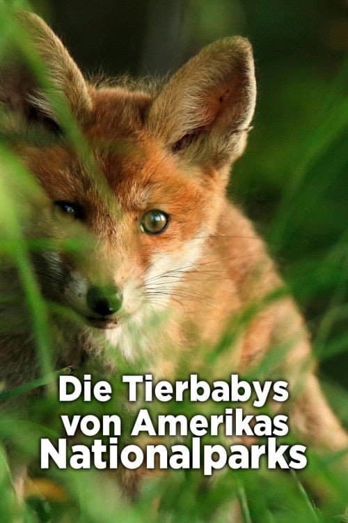Die Tierbabys von Amerikas Nationalparks