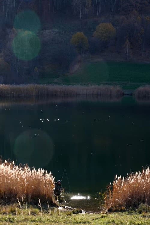 Resting Energy