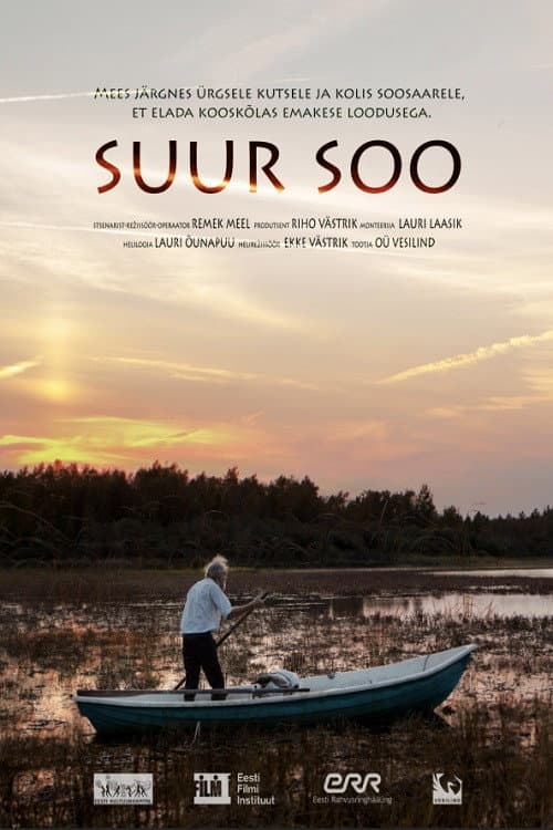 Suur soo