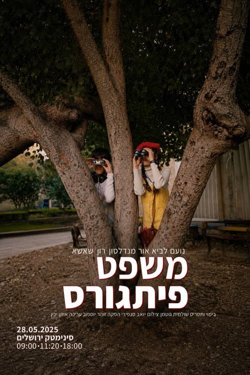 משפט פיתוגרס