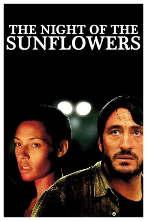 Die Nacht der Sonnenblumen