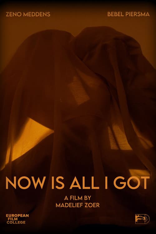 Now Is All I Got