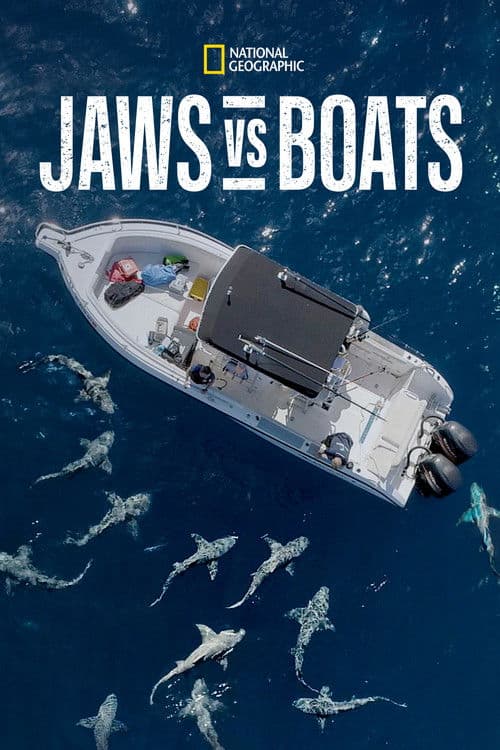 Hai vs. Boot