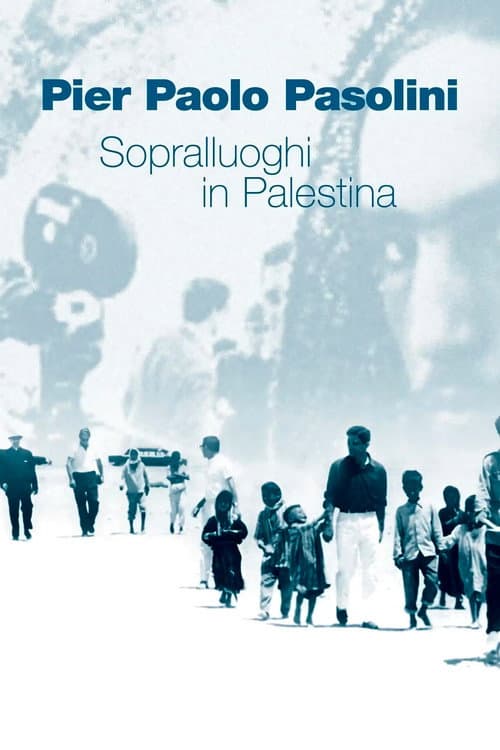 Sopralluoghi in Palestina per il vangelo secondo Matteo