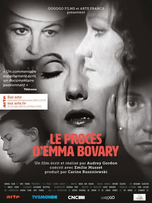 Der Fall Emma Bovary