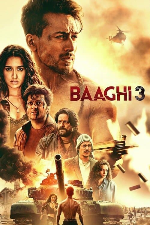 बाघी ३