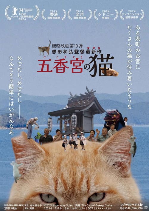 Gokogu no Neko