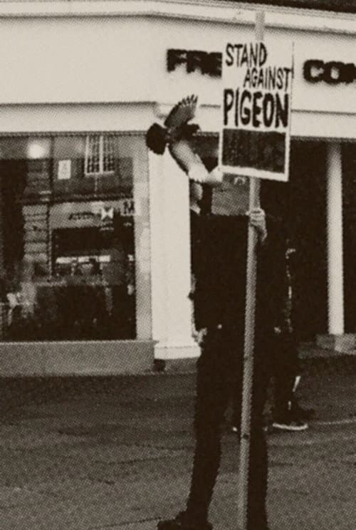 Pigeon Mafia Takes out the Trash